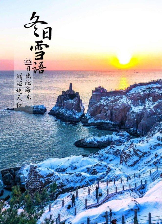动物帮帮忙保卫家园