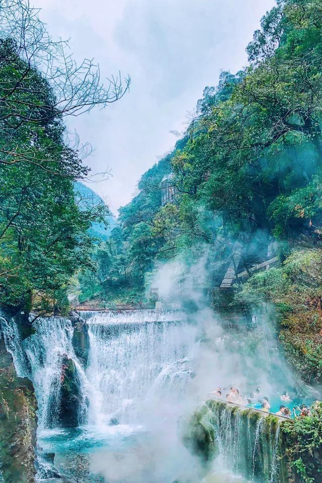 逃离马儿森林